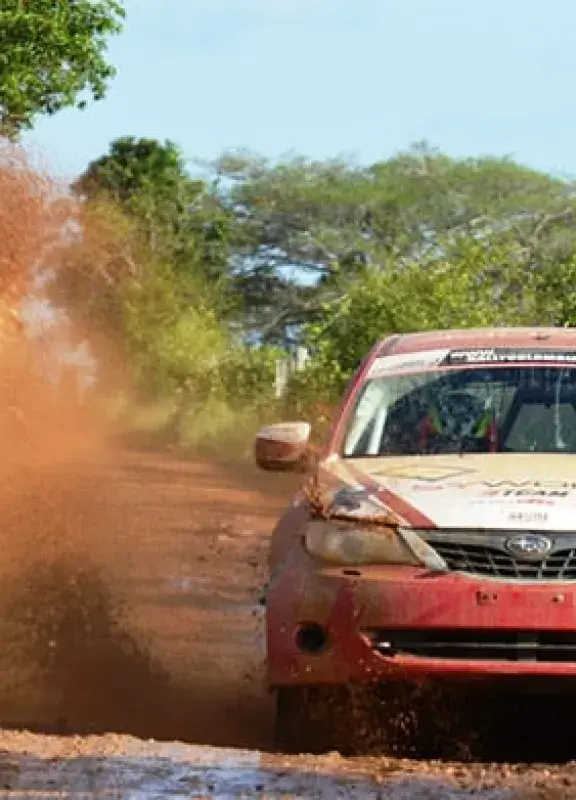 rally_dt1 rally_dt1