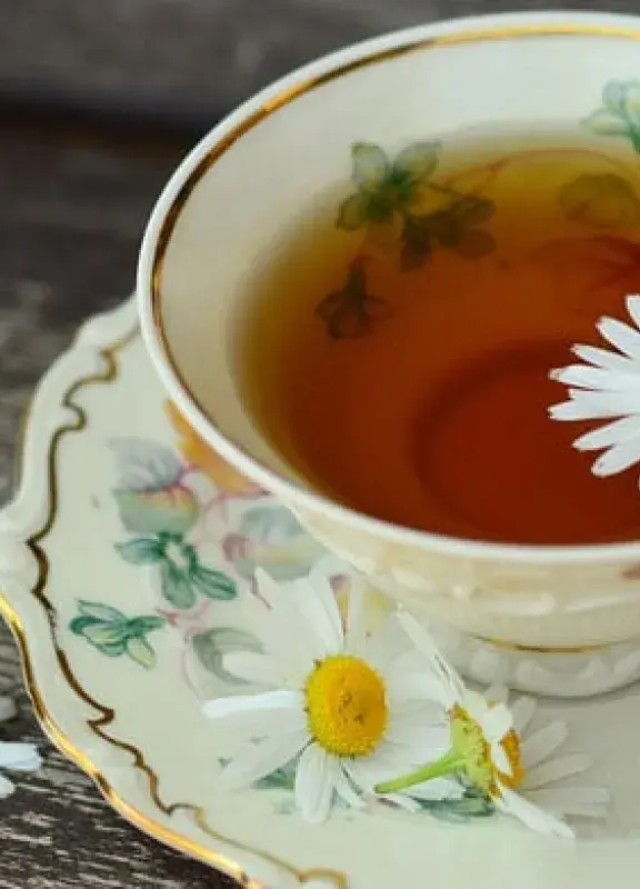 Cup of tea Cup of tea