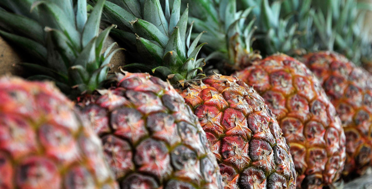 imagen de varias piñas de cerca, frutas colombianas, empresas colombianas, productos agricolas, mercado Colombia, frutas