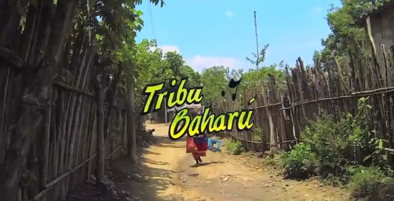 tribu Baharu, musicos, caribe, musica, el pico