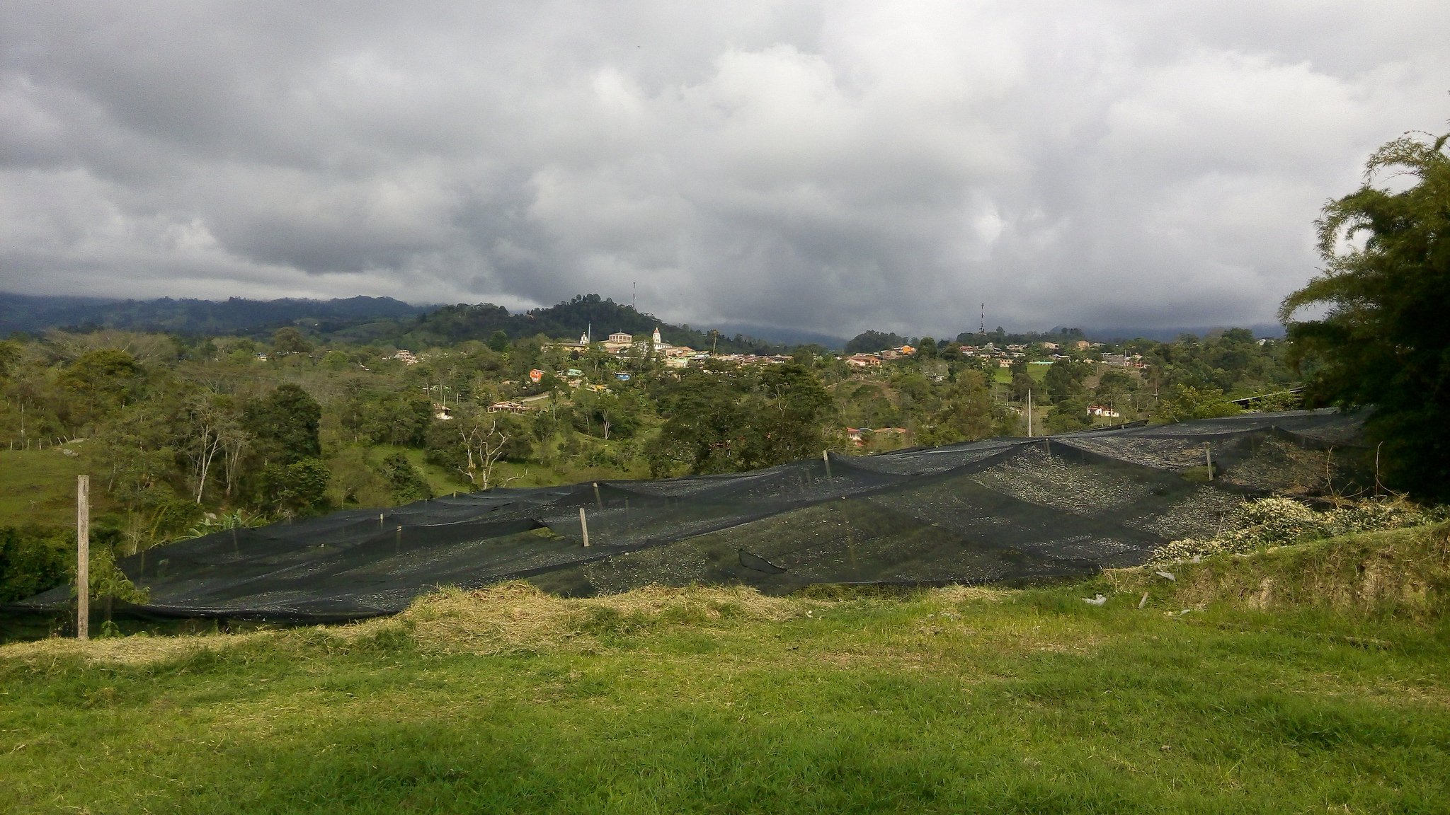 cultivos colombianos, cambio climatico, investigacion