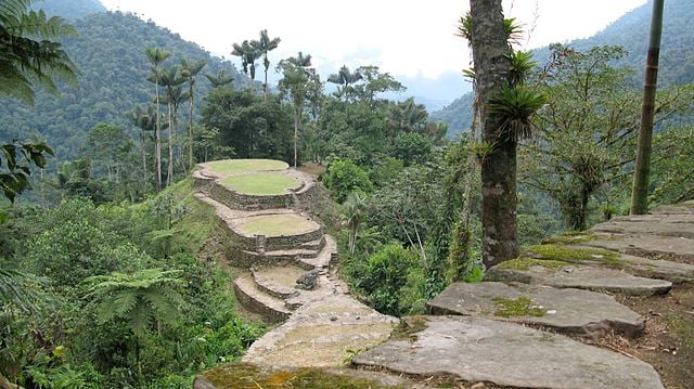 fotografía de un sendero ecológico con palmas y montañas de fondo en la Ciudad perdida, cultura indígena en Colombia
