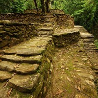 fotografía de sendero en medio de la selva colombiana, tierradentro, sombrero vueltiao