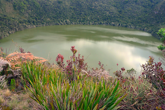 fotografía de una laguna de guatavita rodeada de plantas en boyacá, gultura indígena en Colombia