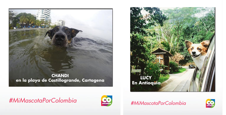 paisajes colombianos, mascotas por Colombia, turismo en Colombia