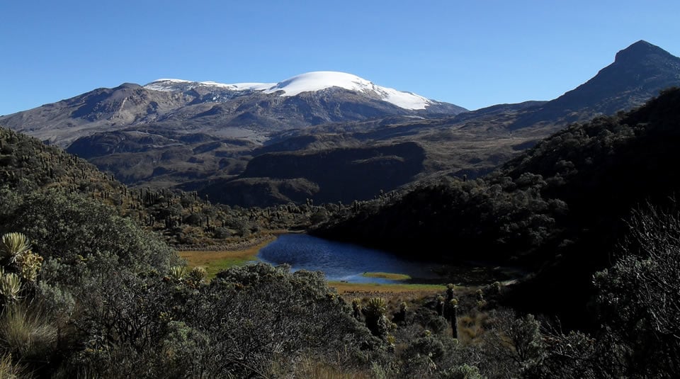Parque Nacional de los Nevados - Luis Alfonso Cano