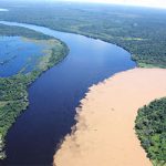 Guaviare, río, biodiversidad, Colombia