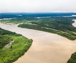 Meta, río, cordillera, llanos orientales, Colombia