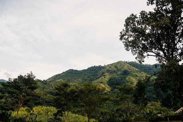 Vista de arboles y montañas con cielo nublado, Parque Nacional Natural Serranía de Los Yariguíes, biodiversidad colombiana