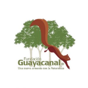 Fundación Guayacanal, organizaciones