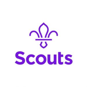 Scouts, organizaciones