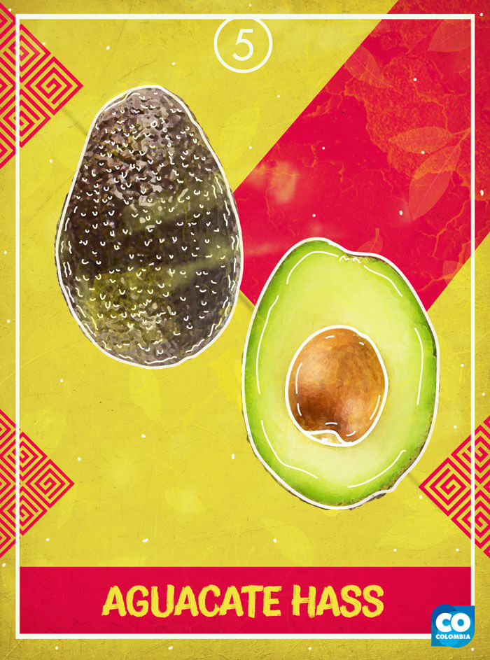 IMAGEN-Frutas de Colombia - Tarot - Aguacate | Marca País Colombia