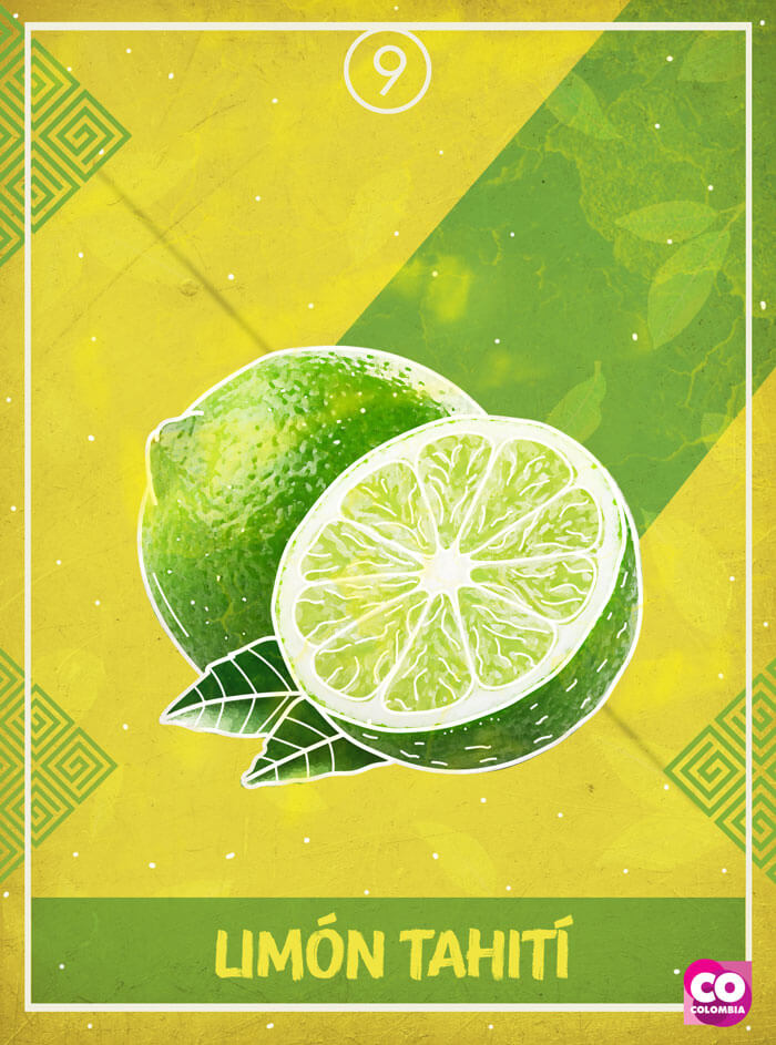 IMAGEN-Frutas de Colombia - Tarot - Limón Tahití | Marca País Colombiao