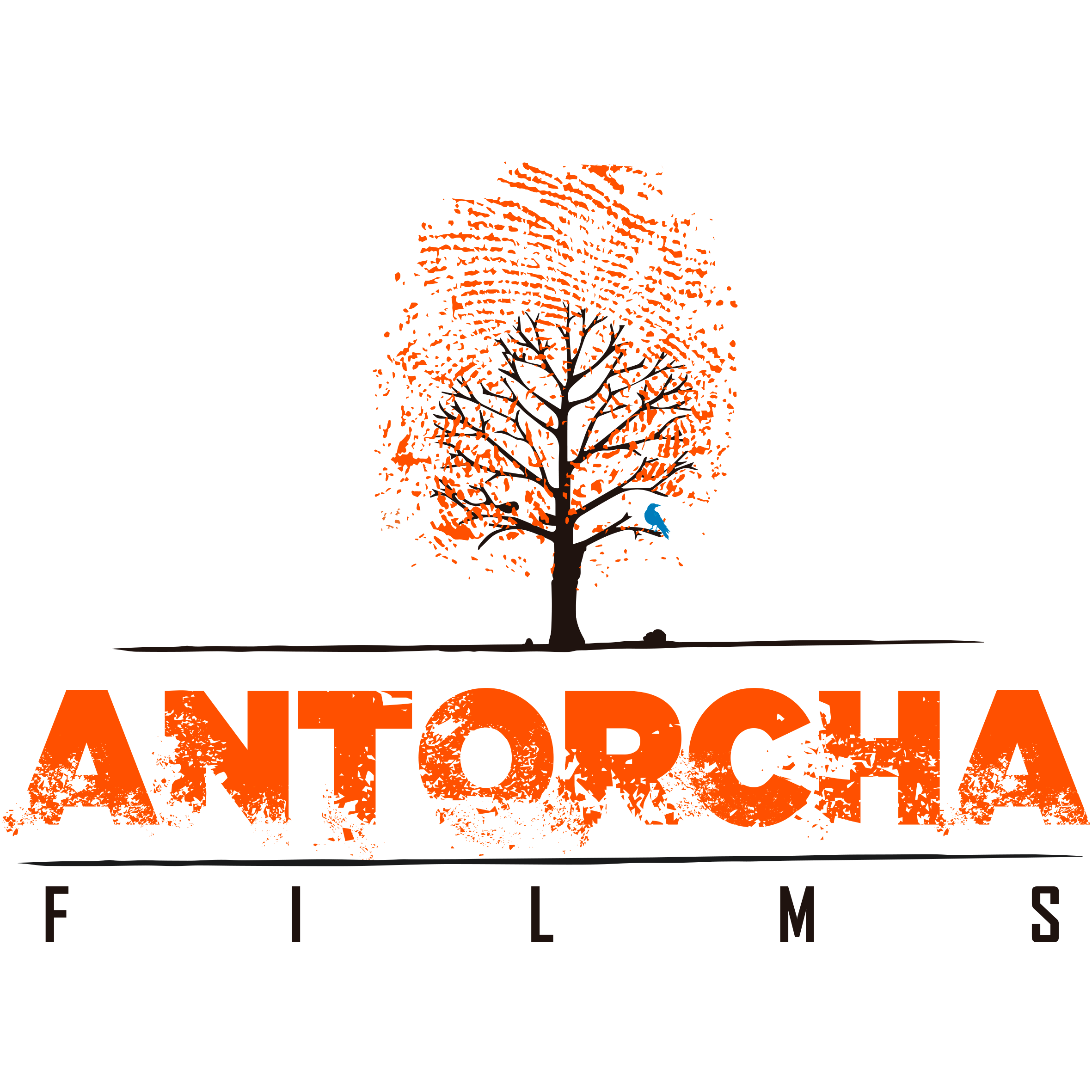Antorcha Films S.A.S.
