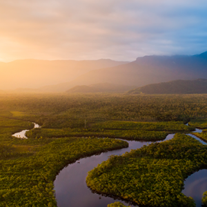 Foto del río más largo del mundo, el río Amazonas con un fondo de un atardecer y varias montañas atras, animales sorprendentes