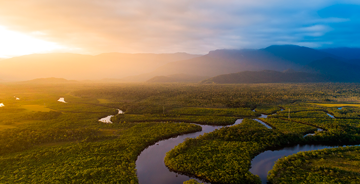 Foto del río más largo del mundo, el río Amazonas con un fondo de un atardecer y varias montañas atras, animales sorprendentes