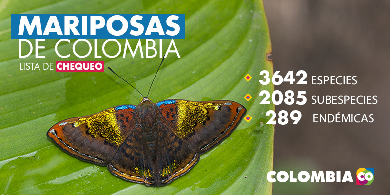 Cifras de mariposas en Colombia