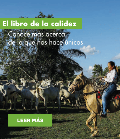 El libro de la calidez, historias desde Colombia.