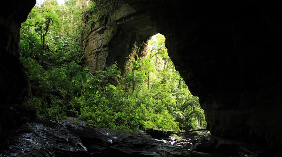 Cueva de los Guácharos, Parque Nacional Natural Cueva de los Guácharos