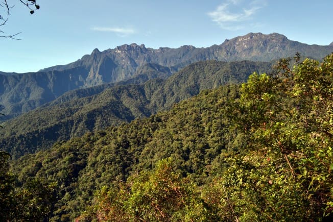 Montañas del Parque Nacional Natural Tatamá.