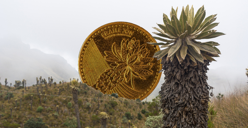 Frailejón (Espeletia grandiflora) acuñado en la moneda de cien pesos colombianos. 
